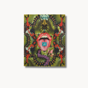 Psychedelic Explorer 1S-LSD Blotters (150mcg)