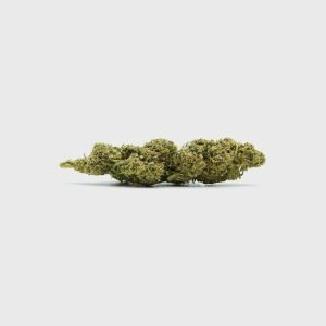 Diesel Dynamite - SATIVA TURBO LVL 5/5