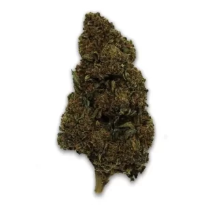 HHC Blüten Cheese 3g