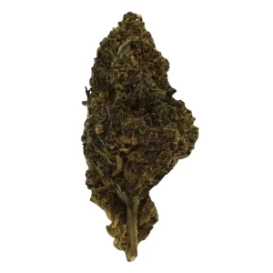 HHC Blüten Ttropical Kush 3