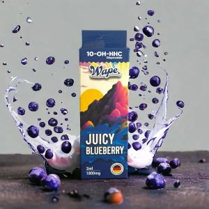 Wape - 10-OH-HHC VAPE 95 2ml - Juicy Blueberry